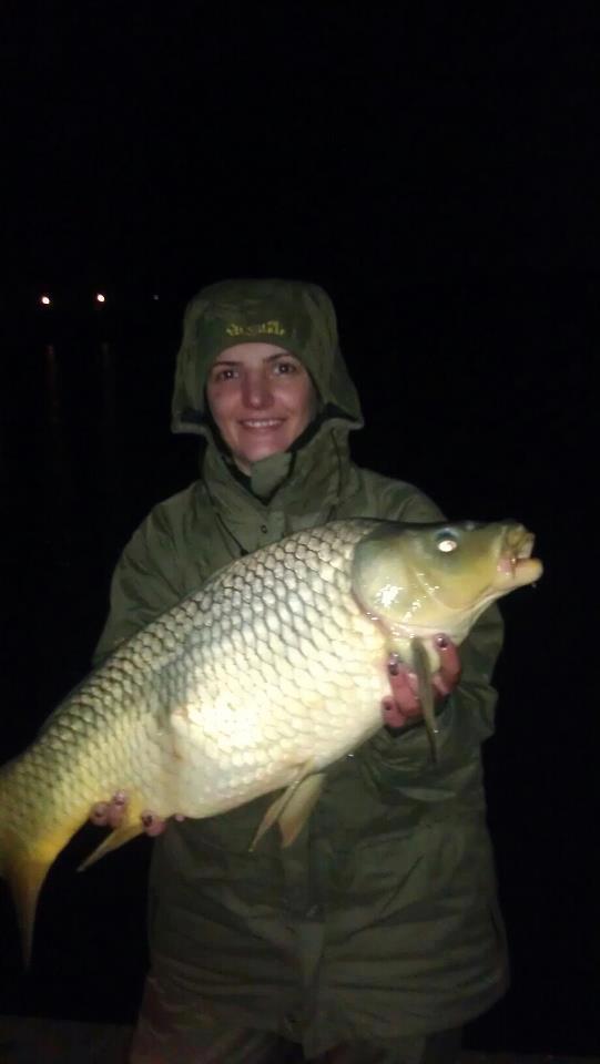 CONCURS LIKE-URI  - VOT PE FACEBOOK  - Sandra
Tancabesti 